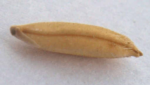 screen-shot-2016-12-05-at-4-27-45-pm