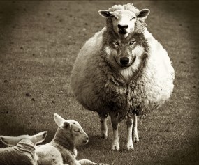 wolf-sheep1_000